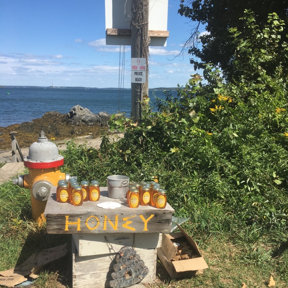 Meet your Posher, Molly